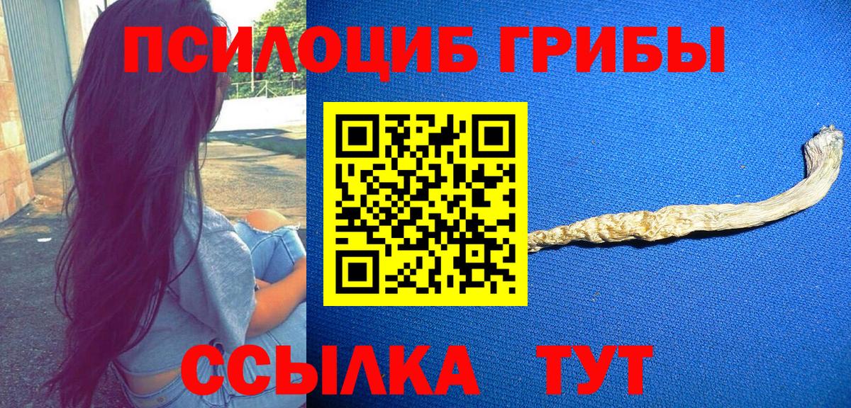 Домодедово  Псилоцибиновые грибы мицелий  Вход с VPN 